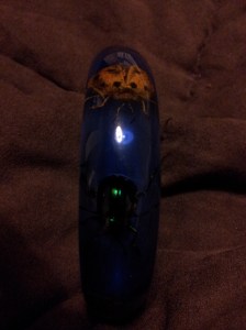 Ladybird and Beetles within the Resin